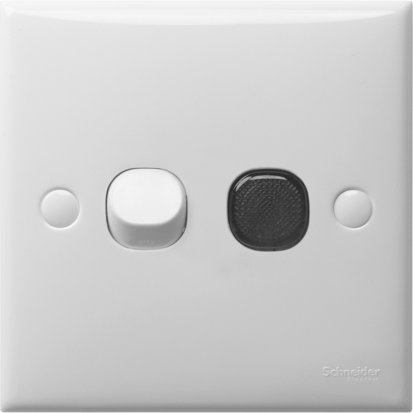 SCHNEIDER E32D20NA 20A DP SWITCH (NEON)