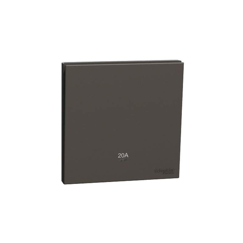 SCHNEIDER E8731D20N-DG 20A DP SWITCH WITH LED
