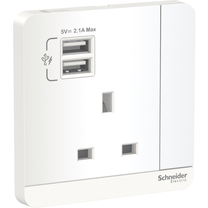 E8315USB_AWE 13A 1G Sw Soc w/ 2.1A 2 port USB, WE