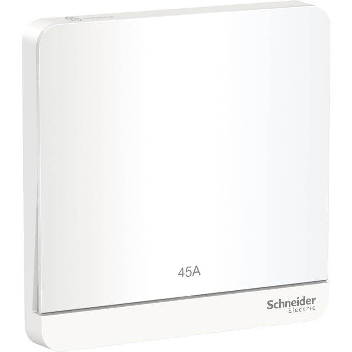 E8331D45N_AWE 45A 250V 1G DP Sw w LED, WE