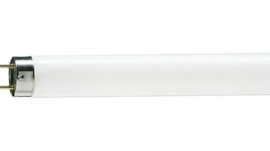 TL-D 36W/54-765 1SL/30