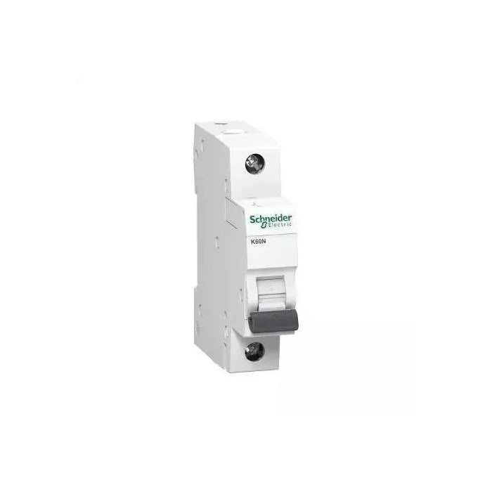 K60n SCHNEIDER K60N A9K02106 6A 1P TYPE C 6KA MCB – Chee Kong Electric Co.