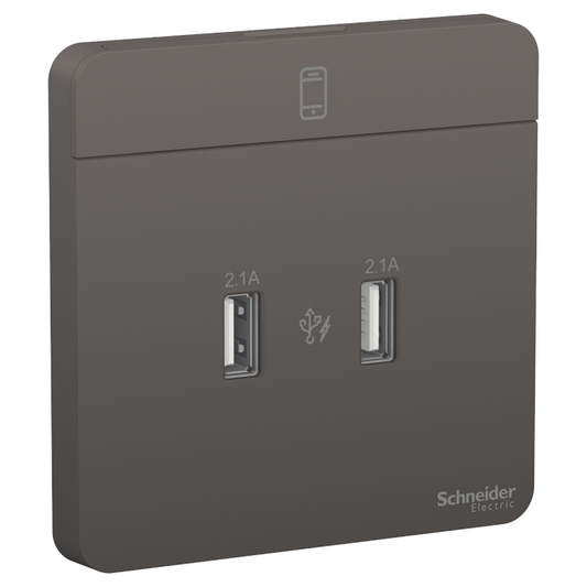 E8332USB_DG 2 x 2.1A USB Charger, DG